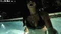 preview pic sexywetbabes.com